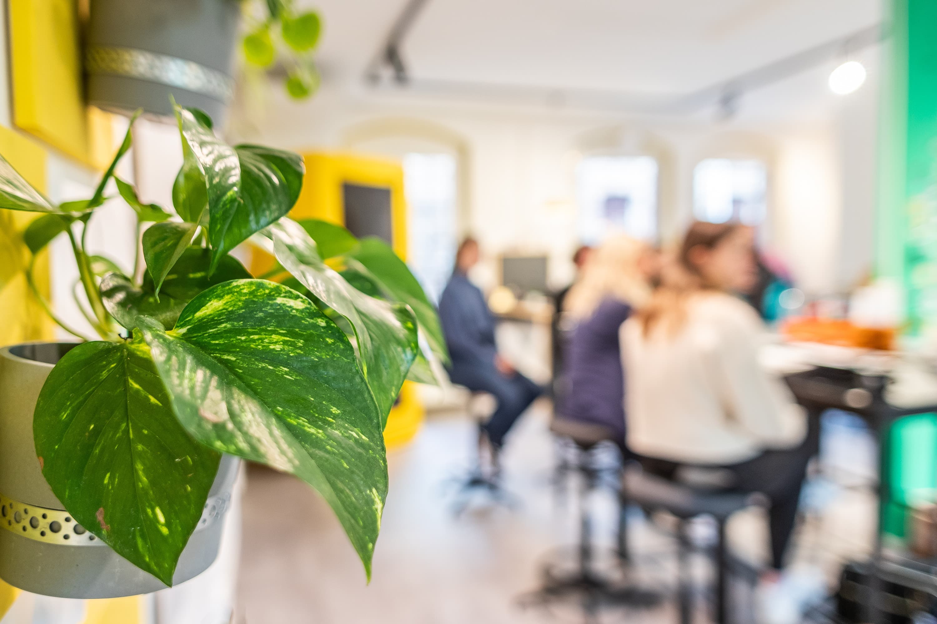 Frohet Viertel — Quartiersentwicklung